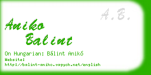 aniko balint business card